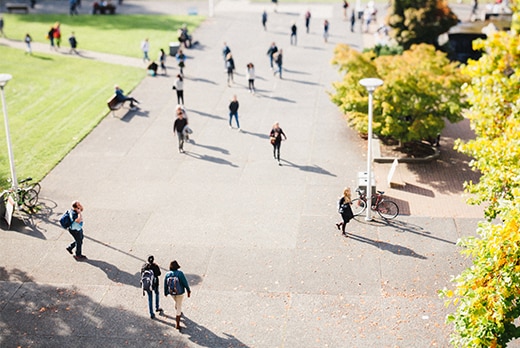 Important Factors to Consider when Choosing a College