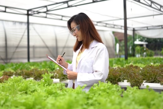 Biological and agricultural engineer career profile