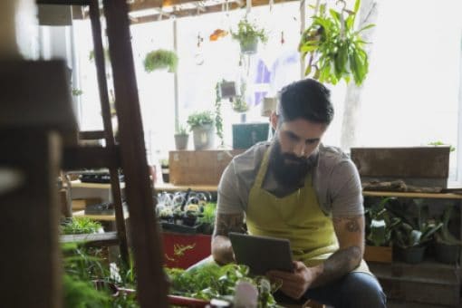 Bearded worker sits in a plant shop looking at a digital tablet