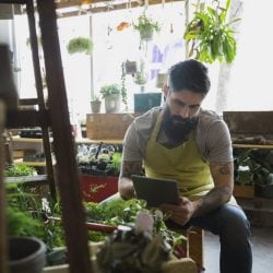 Bearded worker sits in a plant shop looking at a digital tablet