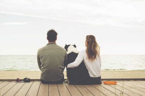 Couple and their dog sit on a boardwalk by the beach and watch the sunset