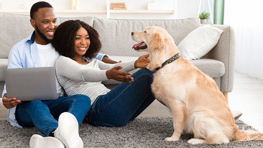 Paw-sitive Vibes Only: Creating a Happy Home for Your Furry Friends