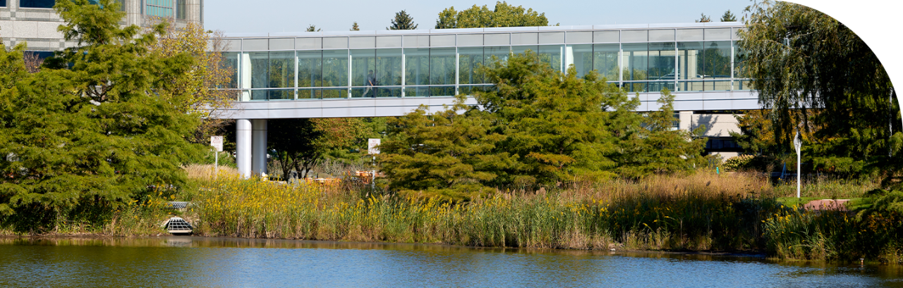 Exterior view of an all-glass bridge walkway connecting two Discover office buildings, overlooking a blue pond and marsh.