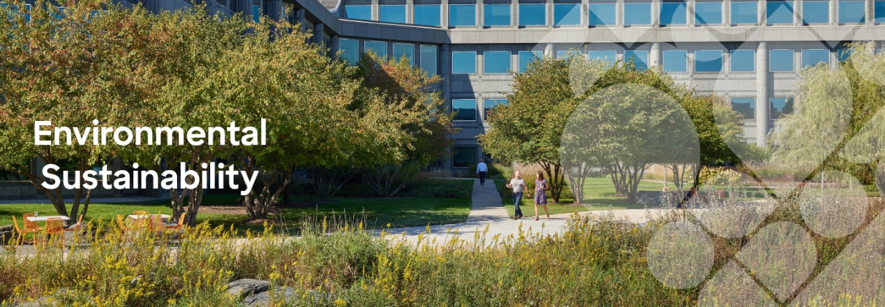 Discover building on a sunny day, with two employees walking and talking outside. 