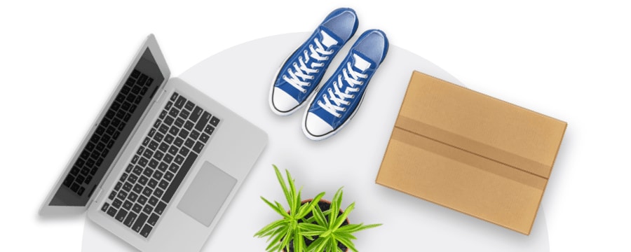 Laptop, plant, sneakers, and delivery box on a light gray half circle.