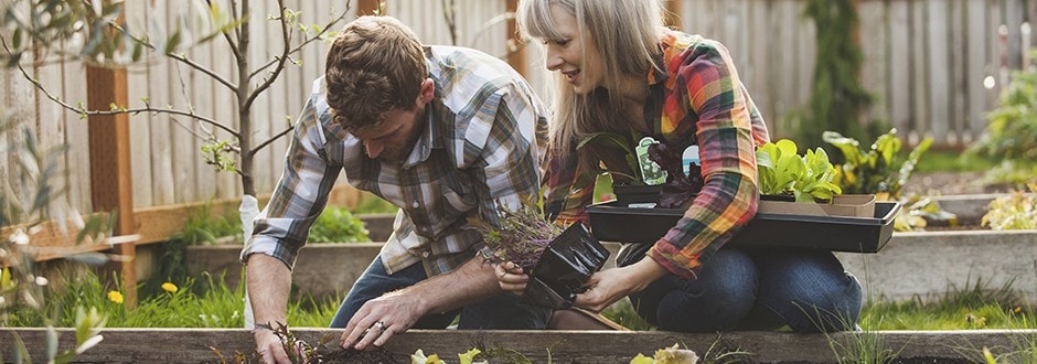 Couple gardening in their backyard