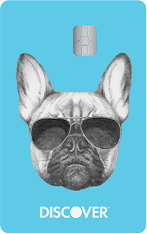 Discover it card with design frenchie
