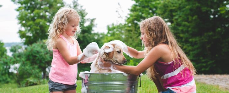 Two sisters earning allowance by washing the family dog