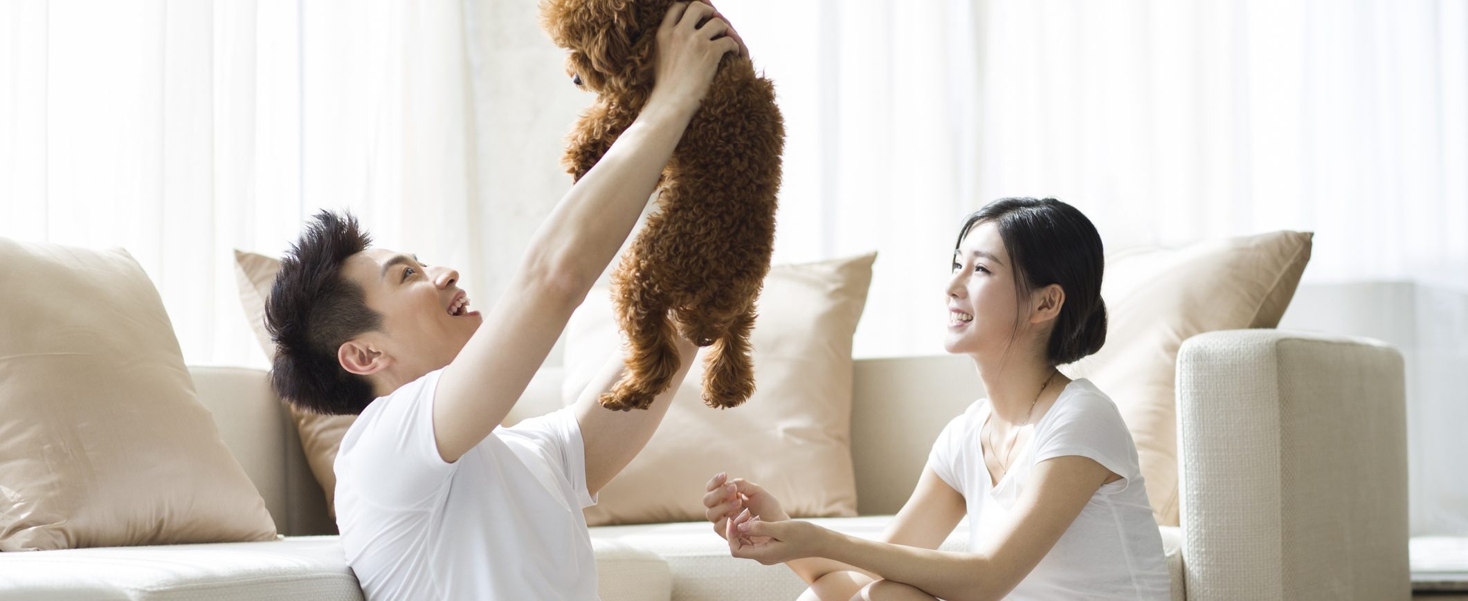 A couple spending time in their living room with their dog.