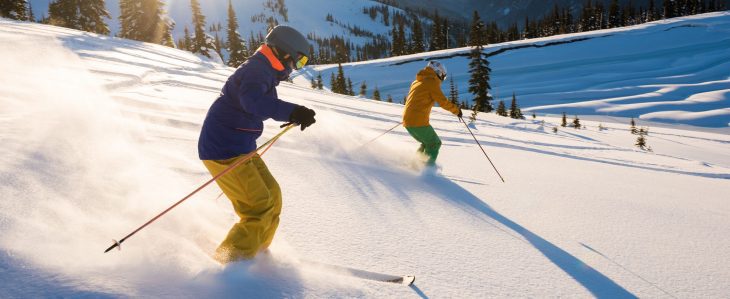 Try hitting a public park to go skiing for a budget-friendly winter activity.