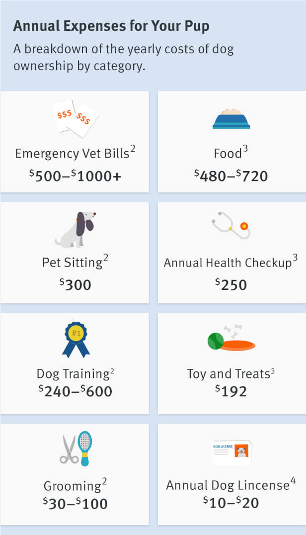 Graphic breaking down the annual cost of dog ownership by category. Emergency vet bills: $500-$1,000. Food: $400-$720. Pet sitting: $300. Annual health checkup: $250. Dog training: $240-$600. Toys and treats: $192. Grooming: $30-$100. Annual dog license: $10-$20.