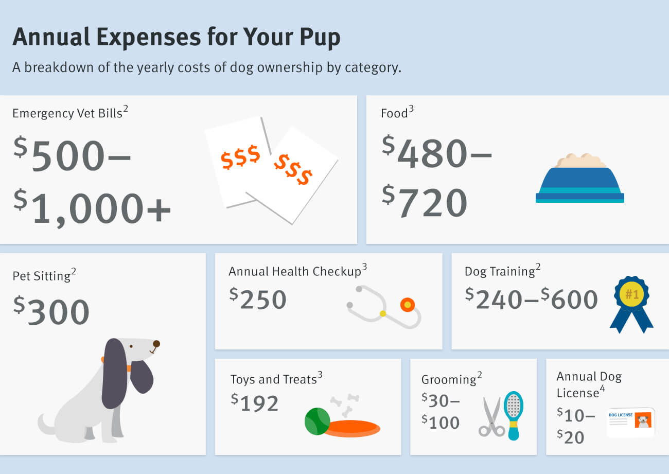 When considering how to afford a dog on a budget, remember that annual costs can add up to over $2,000.