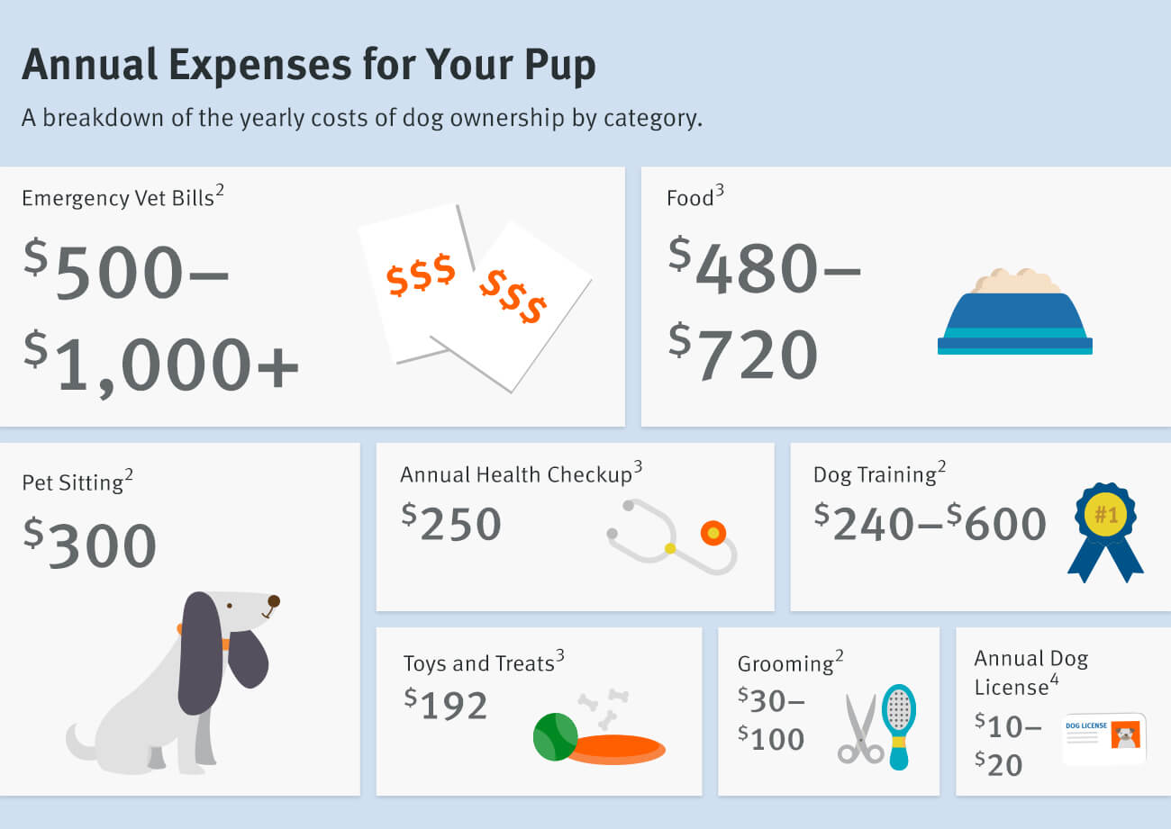 how much does it cost to maintain a dog