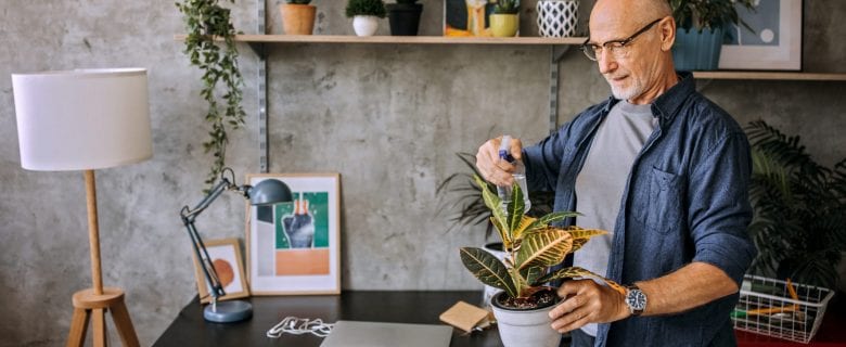 An older man stands at a home office and sprays a potted plant with water. 