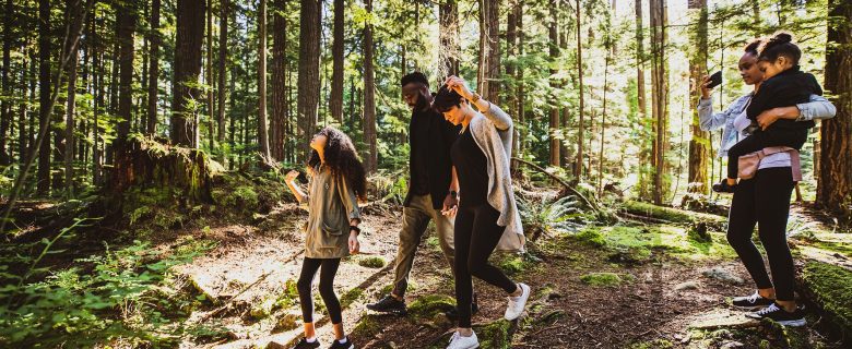 A group of people walks in the woods.