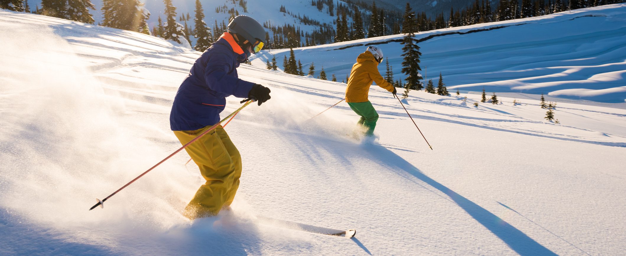 Two people ski a slope fringed with evergreen trees.