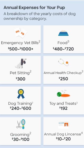 Graphic breaking down the annual cost of dog ownership by category. Emergency vet bills: $500-$1,000. Food: $400-$720. Pet sitting: $300. Annual health checkup: $250. Dog training: $240-$600. Toys and treats: $192. Grooming: $30-$100. Annual dog license: $10-$20.