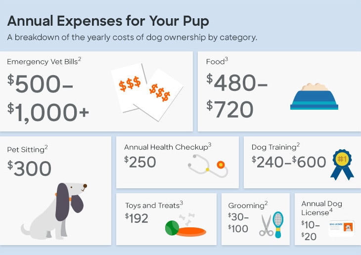 Graphic breaking down the annual cost of dog ownership by category. Emergency vet bills: $500-$1,000. Food: $400-$720. Pet sitting: $300. Annual health checkup: $250. Dog training: $240-$600. Toys and treats: $192. Grooming: $30-$100. Annual dog license: $10-$20.