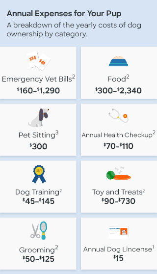 Graphic breaking down the annual cost of dog ownership by category. Emergency vet bills: $160-$1,290. Food: $300-$2,340. Pet sitting: $300. Annual health checkup: $70-$110. Dog training: $45-$145. Toys and treats: $90-$730. Grooming: $50-$125. Annual dog license: $15.