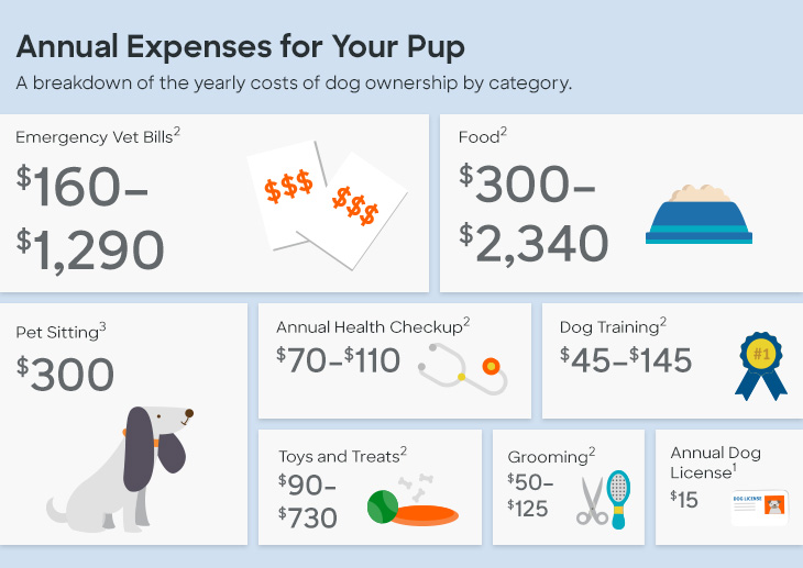 Graphic breaking down the annual cost of dog ownership by category. Emergency vet bills: $160-$1,290. Food: $300-$2,340. Pet sitting: $300. Annual health checkup: $70-$110. Dog training: $45-$145. Toys and treats: $90-$730. Grooming: $50-$125. Annual dog license: $15.