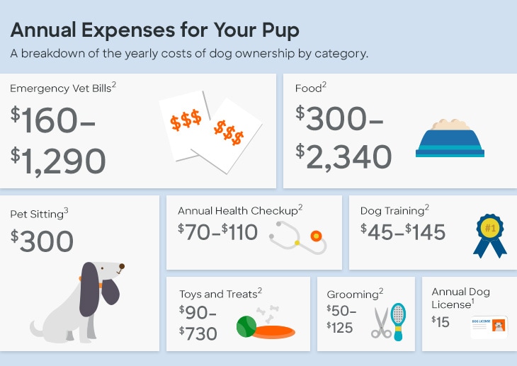 Graphic breaking down the annual cost of dog ownership by category. Emergency vet bills: $160-$1,290. Food: $300-$2,340. Pet sitting: $300. Annual health checkup: $70-$110. Dog training: $45-$145. Toys and treats: $90-$730. Grooming: $50-$125. Annual dog license: $15.