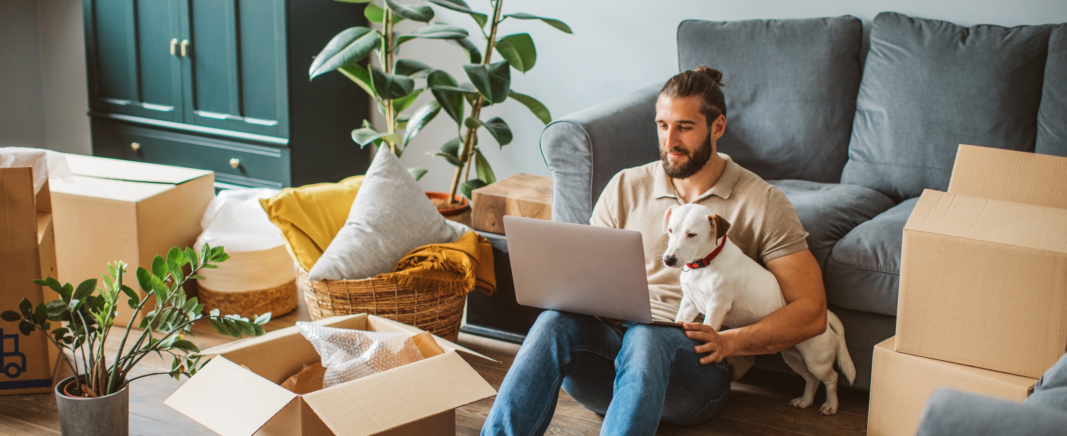 A man sits with his dog and works on a laptop computer, next to a couch and stack of boxes.